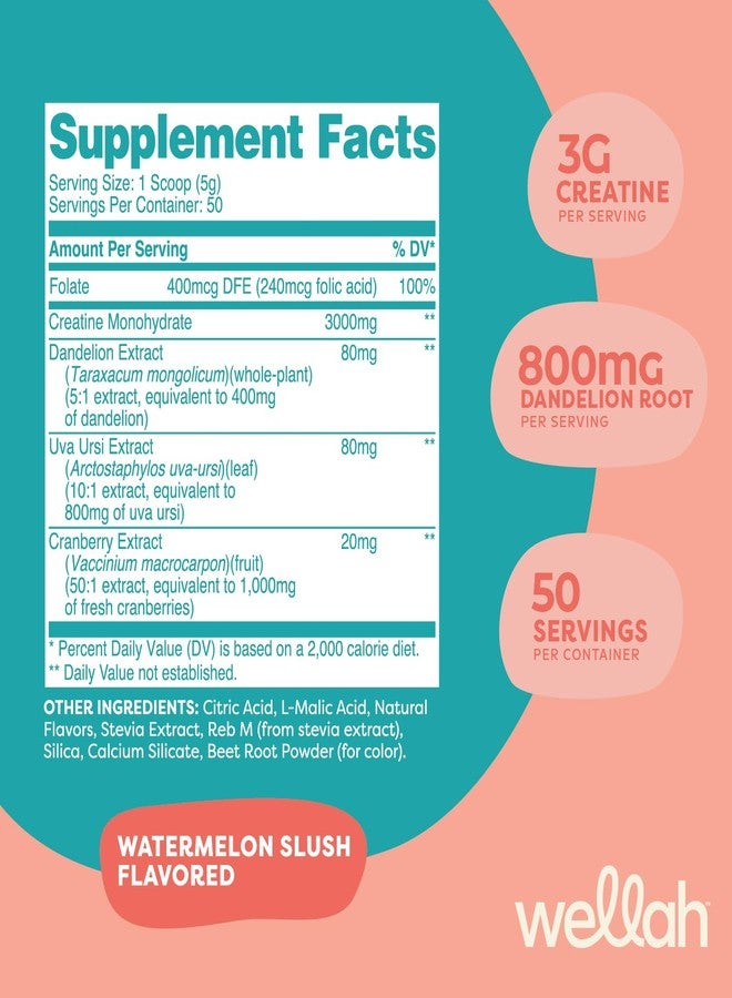 Wellah Creatine for Women - Creatine Monohydrate with Dandelion & Cranberry Extract (50 Servings, Watermelon Slush) - Image 2
